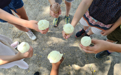 Unsere Überraschung